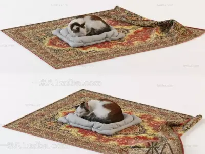 cat animal Free 3D model purchase