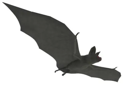 Good quality bat 3D model