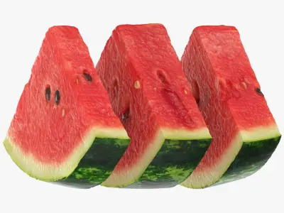Watermelon Slice Collection 3D model