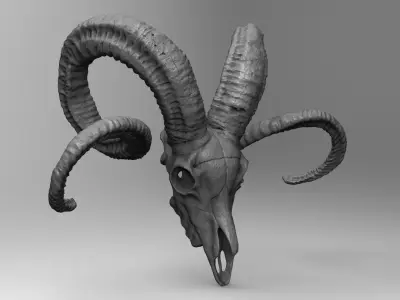 CRANEO CARNERO IMPRESION 3D - RAM SKULL 3D PRINTING 3D print model