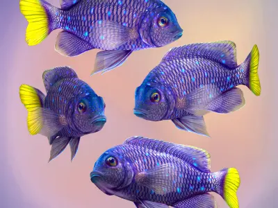 Fish Microspathodon Chrysurus Low-poly 3D model
