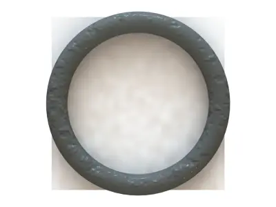 O Ring Vedabras 12860 3D model