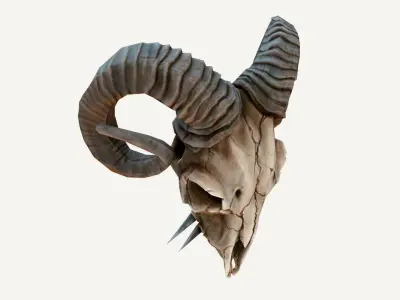 Low-Poly Rams Skull Low-poly 3D model