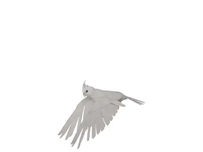 Cockatiel Parrot Bird Low-poly 3D model