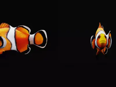 Clownfish Nemo Free low-poly 3D model