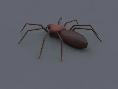 Spider 3d Model Low-poly 3D model purchase