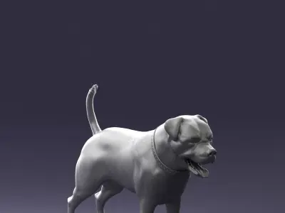 Black dog breed rottweiler 0160 3D model