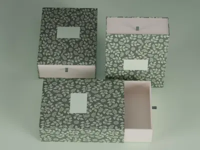  Premium Box package  3D model