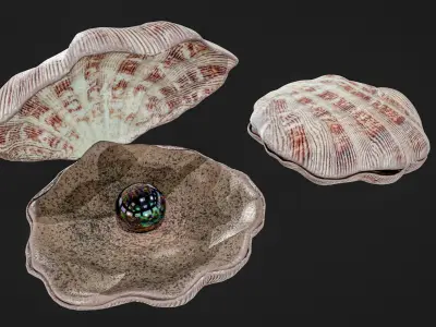 Sea Shell With Pearl Low-poly 3D model