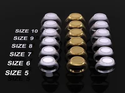 DAINTY SIDE OVAL SIGNET RING ROPE TWIST MIX SIZE 3D print model