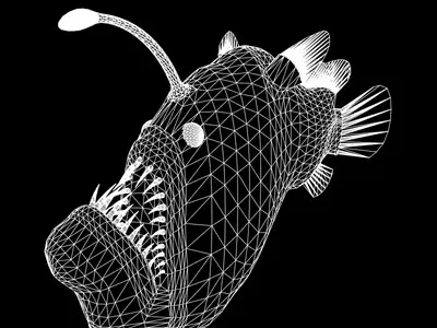 Angler Fish 3D model buy