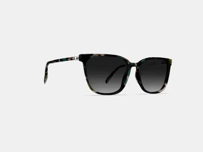 Esme Sunglasses in Aventurine Tortoise with Polished Gold 3D model purchase