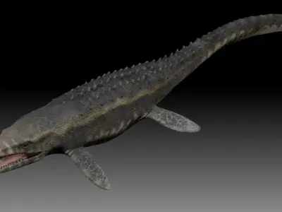 Mosasaurus fish with long teeth Free 3D model