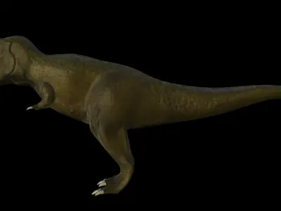 T-Rex t - rex Free low-poly 3D model