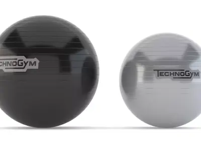 Technogym Accessories Wellness Ball Training 3D model