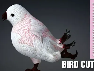 Bird Cute A3 Free low-poly 3D model