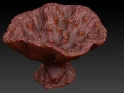 Sea Coral Scan 1 3D model