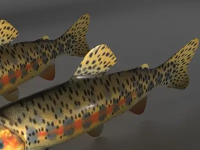 Fish Series 02 Low-poly 3D model