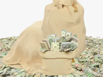  Money Bags Collection V40 