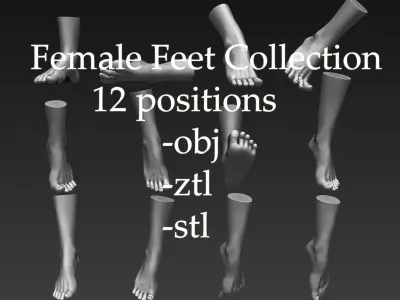 12 Female Feet 3D model