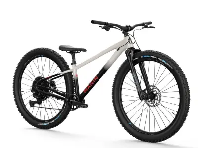 MTB hardtail in white black  Low-poly 3D model