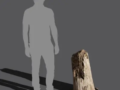  Medium Broken Decaying Bare Stump Model 
