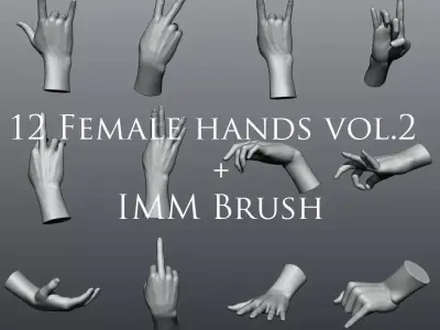 12 Female Hands vol2 3D model purchase