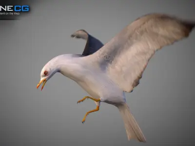 Animated Seagull Low-poly 3D model