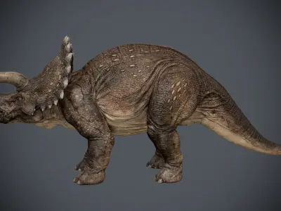 Triceratops-Maya 3D model