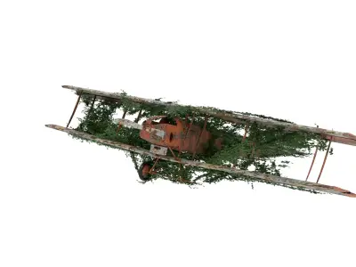 Damaged Rusted Aircraft 3D model