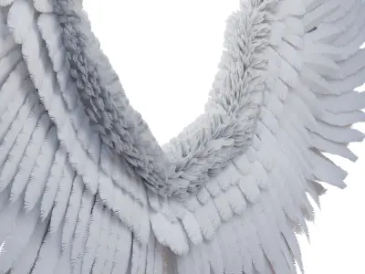 Stylized Angel Feather Wings 3D model