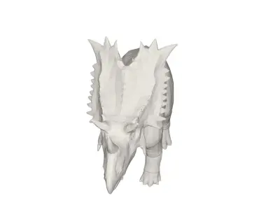Dinosaur triceratops 3D model