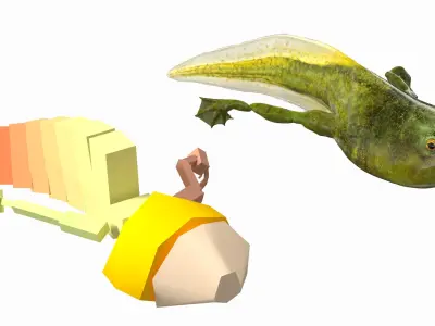 Frog Life Cycle Stages Rigged 3D model