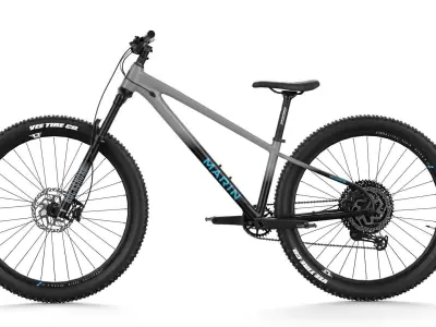 MTB hardtail in grey black Low-poly 3D model