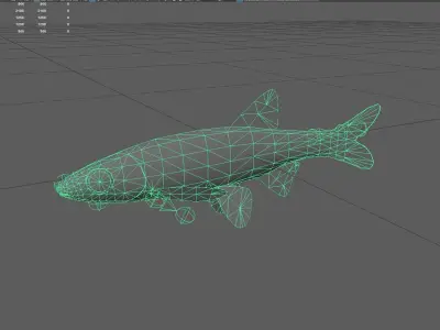 Carp fish Low-poly 3D model 4