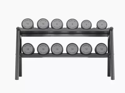 Technogym Urethane Dumbbells Rack 3D model
