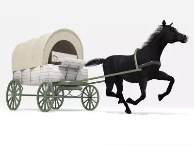 Western Wagon 5  3D model