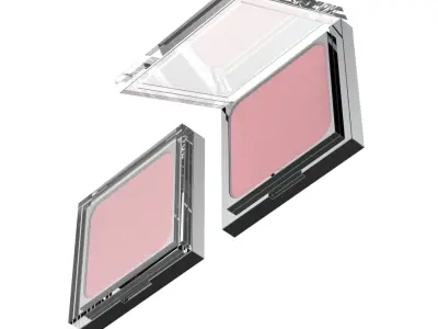 Eye Shadow or Blusher 3D model