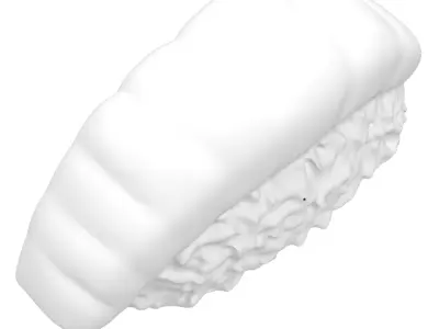 Salmon sushi 3D model
