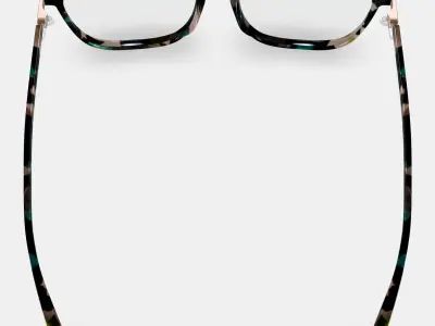 Esme Eyeglasses in Aventurine Tortoise with Polished Gold 3D model purchase