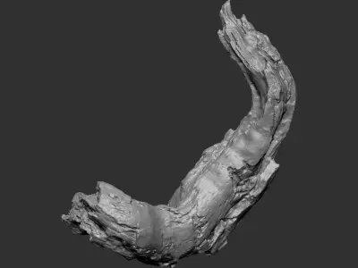 3d scan of tree trunk in highpoly 3D model from CGTrader