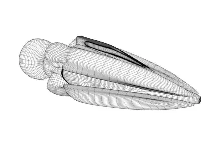 Aaron Flak Ship Free 3D model