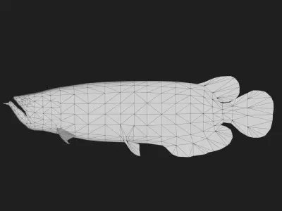 Arowana Low-poly 3D model get