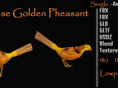 Chinese Golden Pheasant Bird Low-poly 3D model