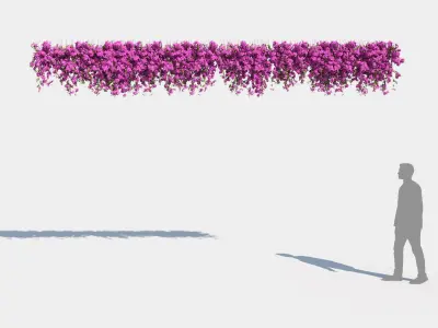  Climbing Bougainvillea Collection 2 (+GrowFX) 