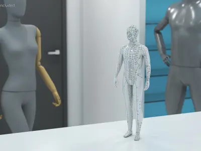 Male Acupuncture Mannequin 3D model
