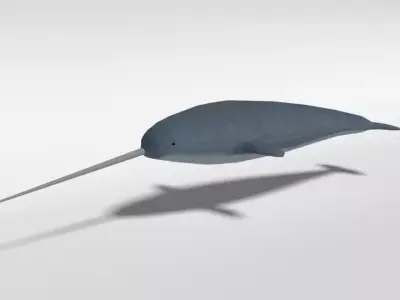 Low Poly Cartoon Narwhal Low-poly 3D model