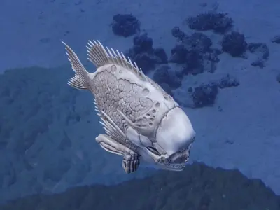 Fishhead fish skull 3D model
