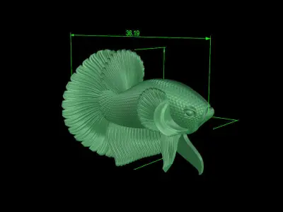 fish beta 3D print model