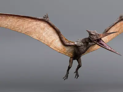 PTERANODON Low-poly 3D model
